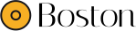 rayvique.com